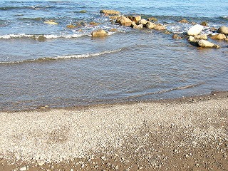 河口付近の海の汀