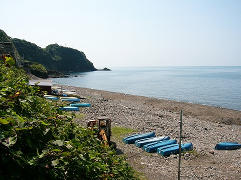 夏の青海川海水浴場