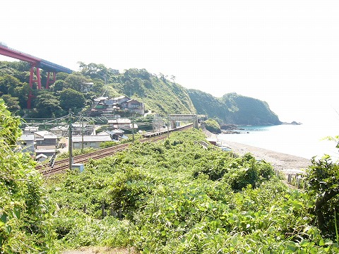 振り返って青海川海水浴場の全景を