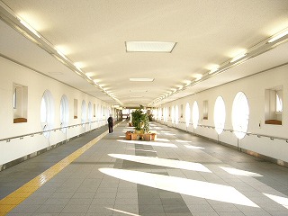 朝の光あふれる跨線橋