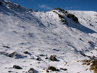 リンドウ池の堤の足跡