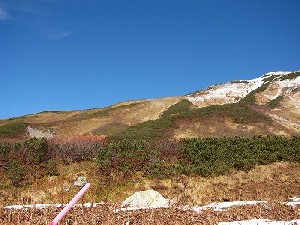 まったく雪のない黄土色の山肌にハイマツの濃緑やこげ茶の枯れ草が目立つ