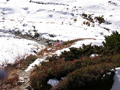 桃色の三角形の旗