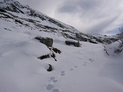 2つの大きな四角い岩に赤い丸印と矢印が書かれてある足跡のついた道