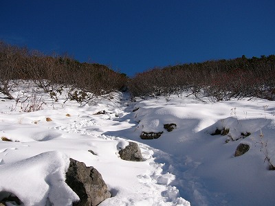 雪の坂道はトンネル内へと続く