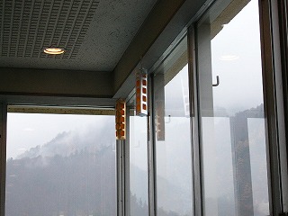 窓の上付近に吊られた蝿取り紙