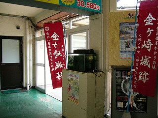 背の高い台に載せられた濃い緑色の中型の水槽。