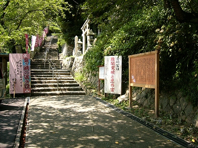 緑の森の中につき上る長い階段。