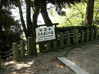 細い丸太を数本組み合わせて、表示板を囲むようにして作られた看板