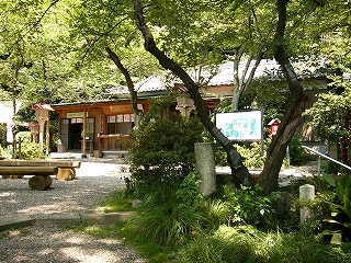 木陰の向こうに明るい木材で作られた平屋の社務所