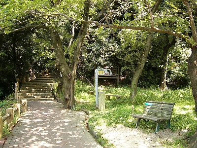 木々に囲まれた土のかなり小さい広場。木の長椅子がおいてある。