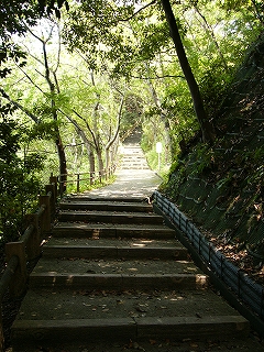 山の中の登りの薄い平べったい階段