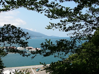 木の枝に囲われたように見える港の海。