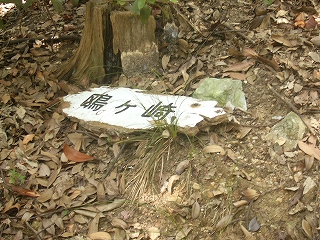 一部が腐って割れた板切れ