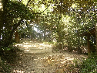 明るい森の中。道は幅があって少し上りになっている。右手にあずまや。