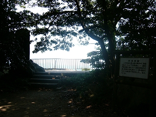 森の中の開けたところからぼうっと青白い光。展望台はコンクリートでしつらえてあるようだ。