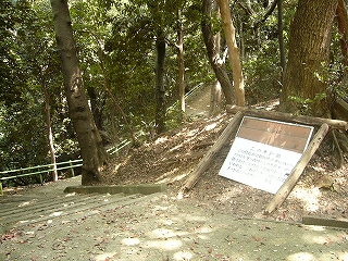 森の中の三叉路。しかし道はコンクリート。左の道は下っていくように見えている。