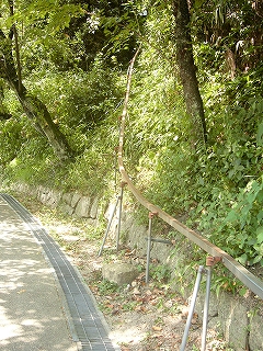 雑草のたくさん生えた急な土手のなかに一本のレール