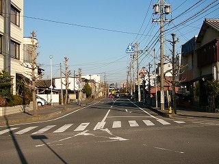 この先国道にＴ字路で接続する短い2車線の道路。両脇には歩道があり、すっかり葉を落とした街路樹が並んでいて、住宅地になっている。