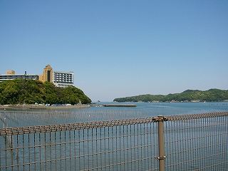 柵と海。向こうに緑が張り出し、その上にホテルが建っている。