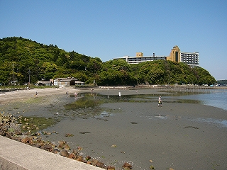 広い干潟。
