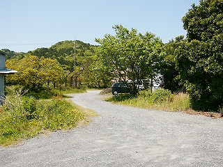 潅木と砂利をまいた道。