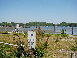 空き地、その向こうに干潟。