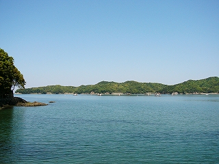 滔々たる青い海。