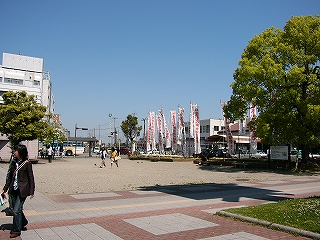 小石の敷地。鳩が数羽いる。