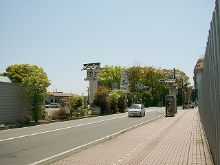 まぶしい木々、道路、赤いタイルの歩道、青空。