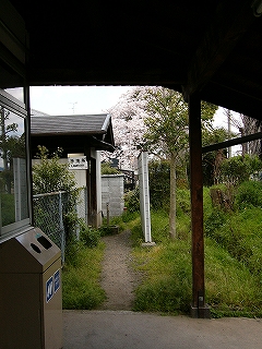 軒下から小道を見て。