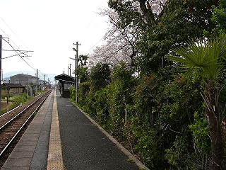 ホームと植え込み。
