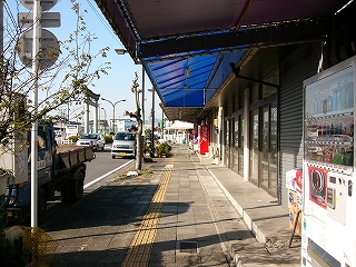 青いビニールを鉄骨に張った軒先の並びの下から。