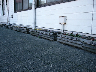 丸太を半分に割ったものを使った、パンジーの植えられた小さめのプランター。