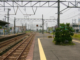 左手に二線の線路内、右手に松のあるホーム。