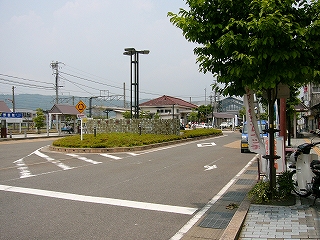 左手にロータリーの始まり。右手に葉の茂る木。