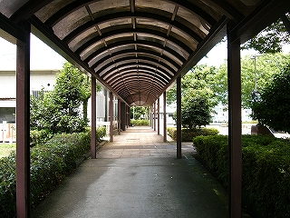 半透明の薄あずき色のアーケード下。両脇にはつつじの植え込み。