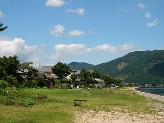 波打際手前まで芝生のようになった浜辺。