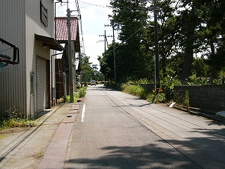 右手に墓地にある背の高い開放的な木々。左手に人家。
