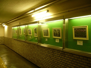 薄暗い通路内にある、背景が緑の薄いショーウィンドウ。