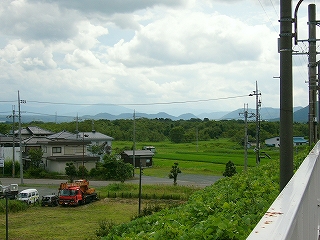 ごく薄い段々畑と平地にあるもくもくした平らな森。