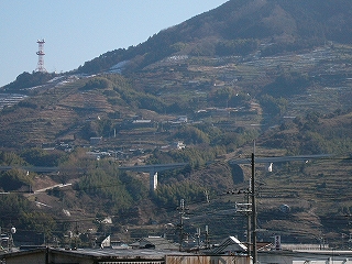 ひたすら開墾された山の斜面。