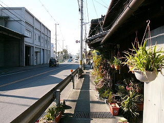 植物溢れる民家の軒下から2車線の国道を望む。歩道は非常に狭く、ガードレールがすぐ近くに迫っている。。