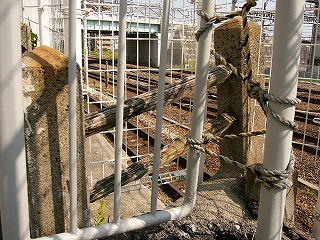 上の写真と同じもので、より短いもの。