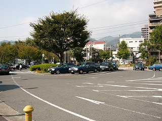 ロータリー。中央部は緑地帯で大きな木が一本植わっている。その前に何台かのタクシー。