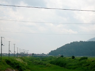 草におおわれた川、田んぼ。