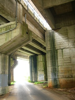 橋げたを見上げて