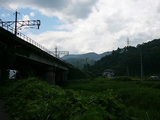 緑に突っ込む高架。一軒家。