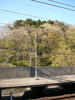 輪の付いた街灯。背後には森の緑。