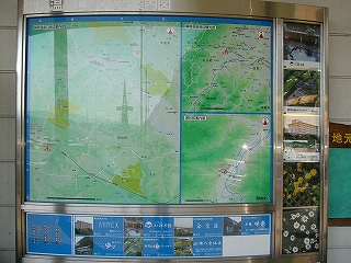 大きな地図。山の部分は明るい緑で表現されている。